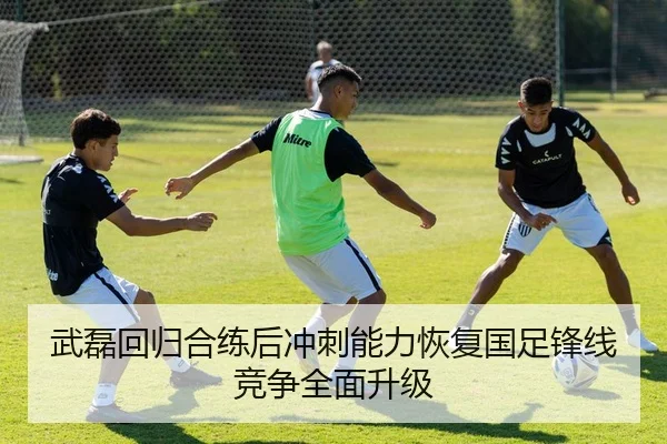 武磊回归合练后冲刺能力恢复国足锋线竞争全面升级