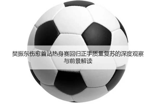 樊振东伤愈首站热身赛回归正手质量复苏的深度观察与前景解读